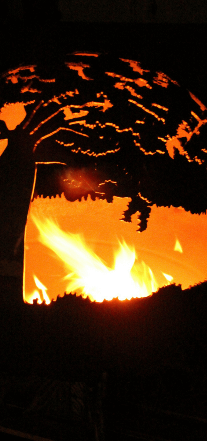 Fire Pit with Fire